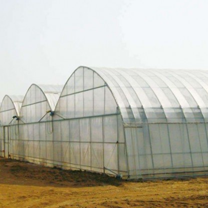 連棟溫室