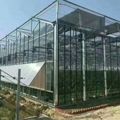 玻璃溫室